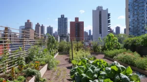 Horta comunitária em terraço de prédio, ilustrando ideias sustentáveis para condomínios.