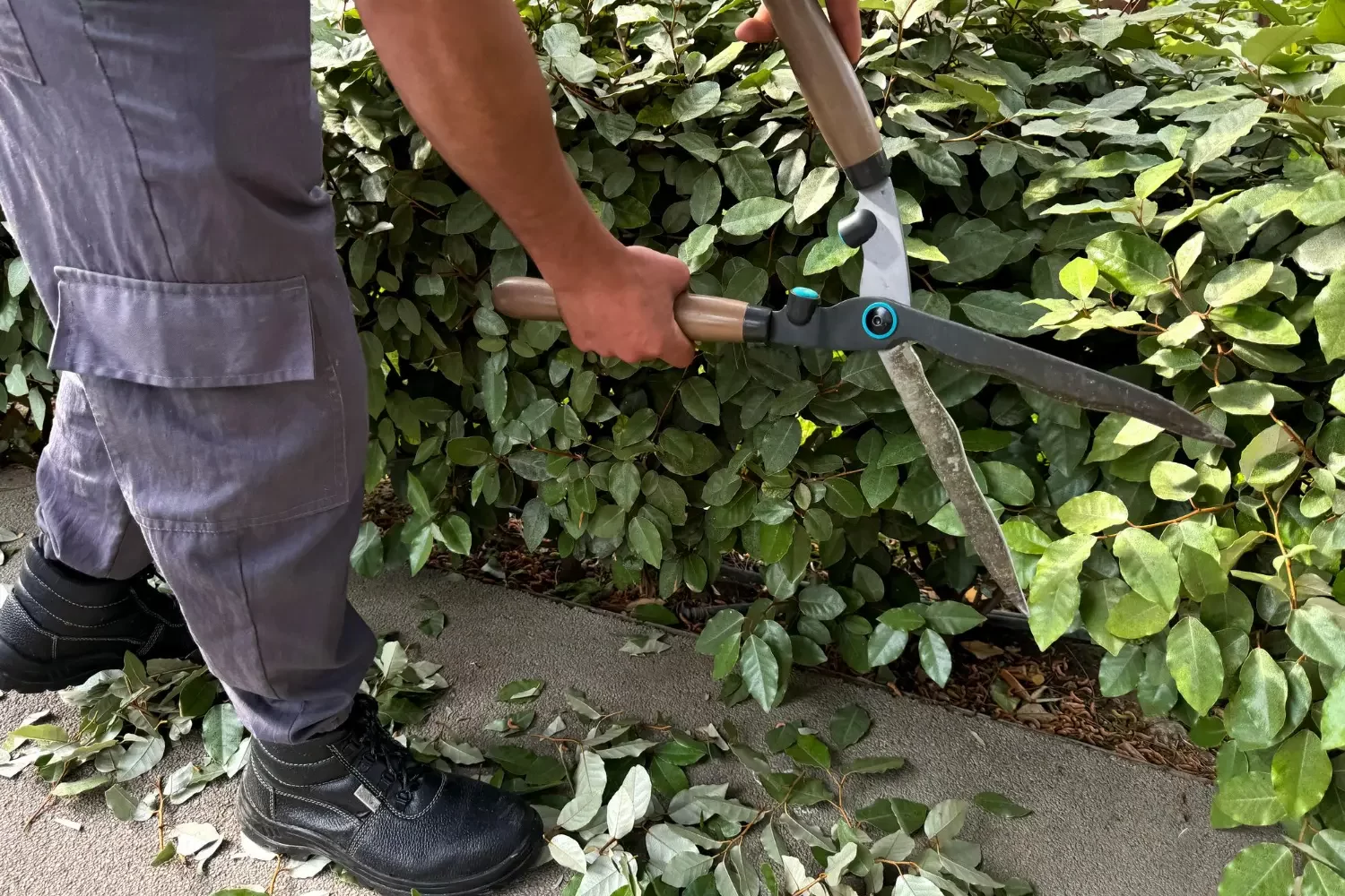 Jardineiro fazendo a manutenção de áreas verdes em jardim de prédio